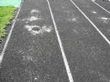 Ft. Recovery High School Track & Field Renovation