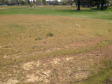 City of Reynoldsburg Baseball Field Renovation