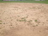 City of Reynoldsburg Baseball Field Renovation