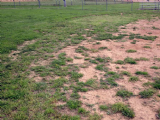 Piqua Youth Baseball & Softball Field Renovation