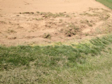 City of Reynoldsburg Baseball Field Renovation