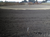 Pettisville South Fields Project