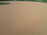 Wright State University Baseball & Softball Field Renovation