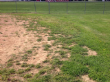 Piqua Youth Baseball & Softball Field Renovation